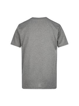 Camiseta Niño Jordan Df Gris