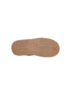 Zueco Mujer Ugg Tazz Chestnut