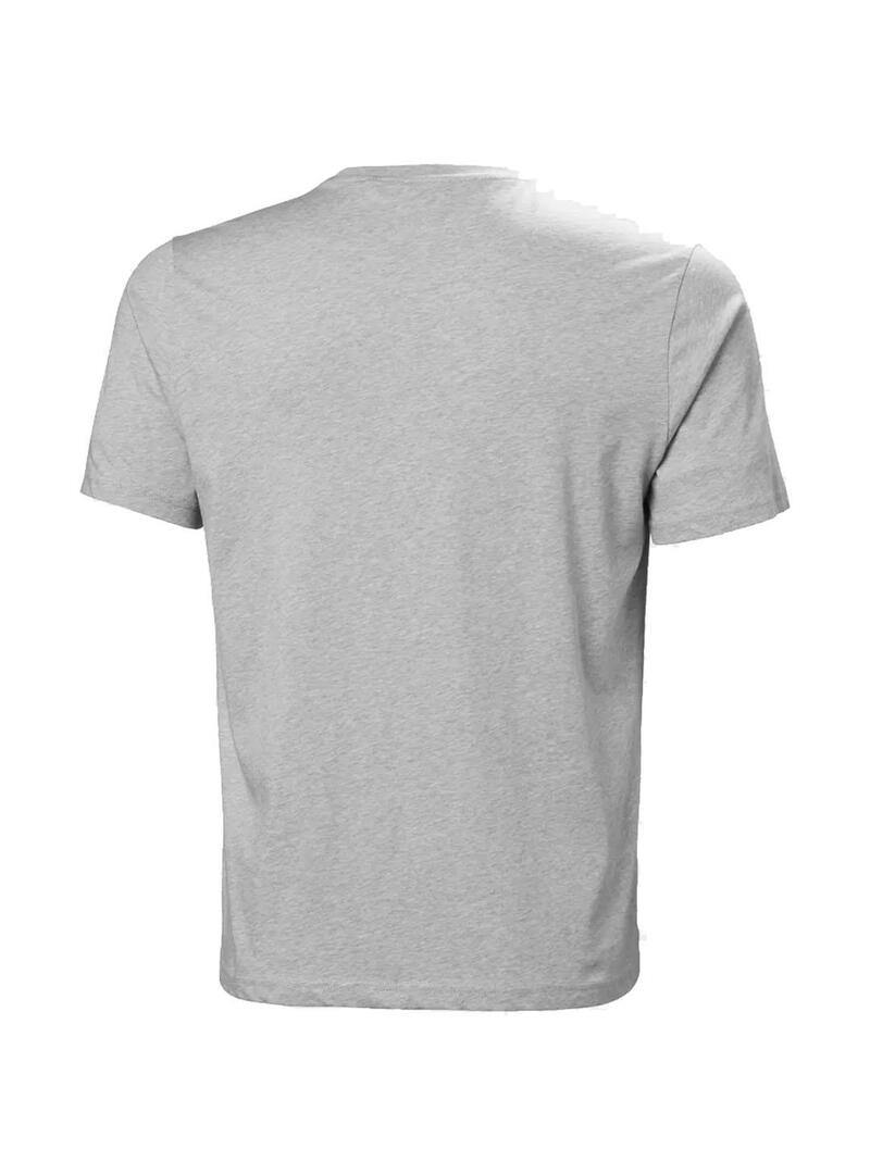 Camiseta Hombre Helly Hansen Logo 2.0 Gris