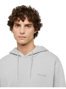 Sudadera Hombre Dickies Plentywood Gris