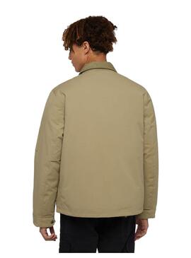 Cazadora Hombre Dickies Plains Verde