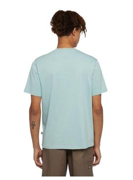 Camiseta Hombre Dickies Luray Verde