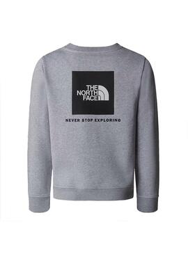 Sudadera Niño/a The North Face RedBox Gris