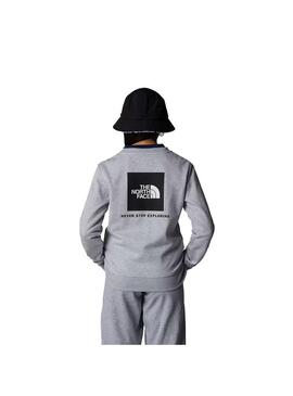 Sudadera Niño/a The North Face RedBox Gris