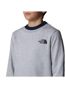 Sudadera Niño/a The North Face RedBox Gris