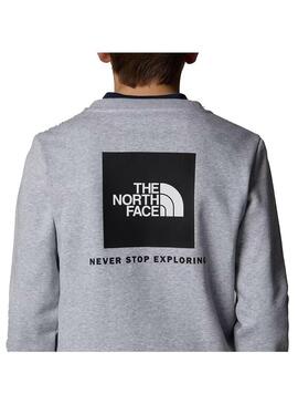 Sudadera Niño/a The North Face RedBox Gris