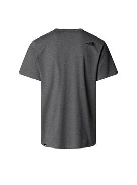 Camiseta Hombre The North Face Easy Gris