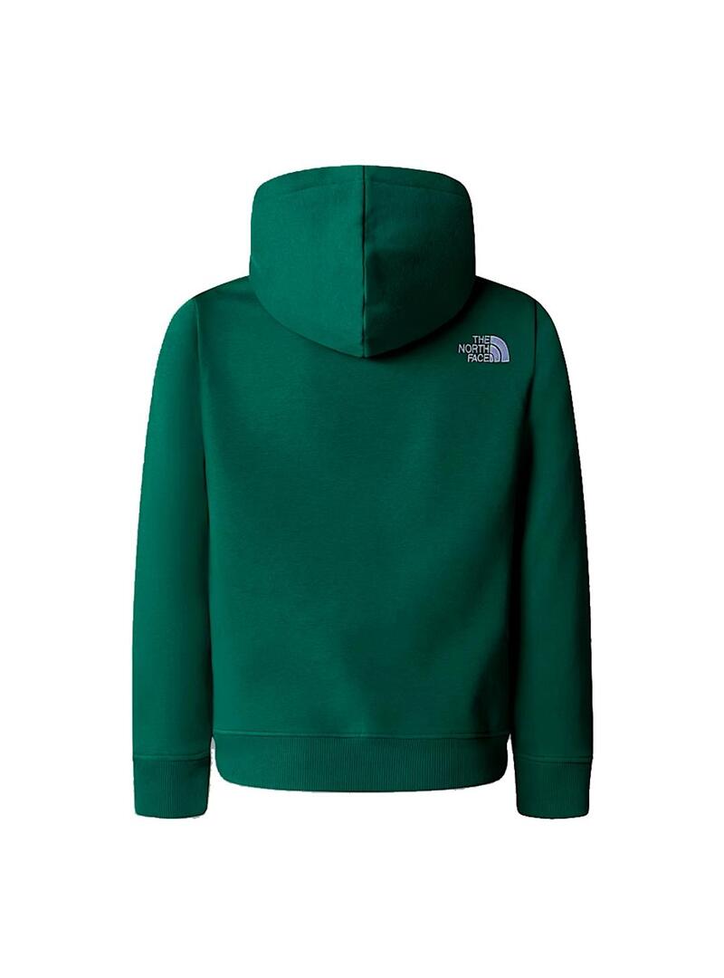 Sudadera Niño/a The North Face Drew Peak Verde