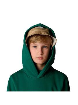 Sudadera Niño/a The North Face Drew Peak Verde