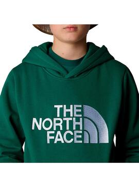 Sudadera Niño/a The North Face Drew Peak Verde