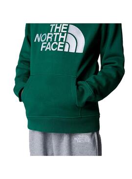 Sudadera Niño/a The North Face Drew Peak Verde