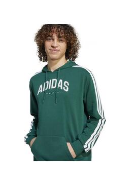 Sudadera Hombre adidas Colleg Hood Verde