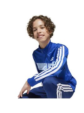 Chandal Niño adidas Tiberio Ts Azul