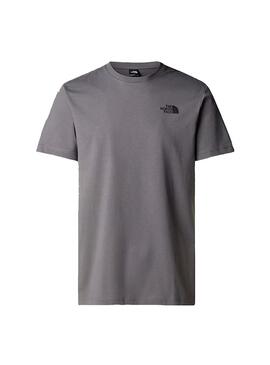 Camiseta Hombre The North Face Celebration Gris