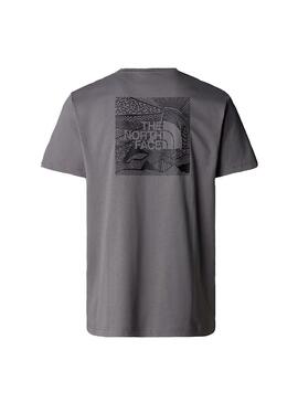 Camiseta Hombre The North Face Celebration Gris