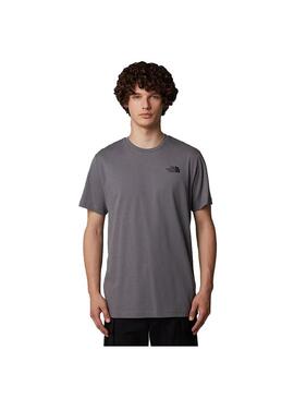 Camiseta Hombre The North Face Celebration Gris