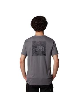 Camiseta Hombre The North Face Celebration Gris