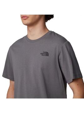 Camiseta Hombre The North Face Celebration Gris